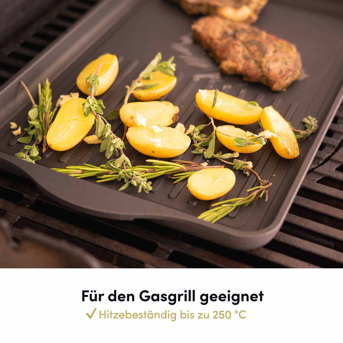 Grillplatte 49x29 cm